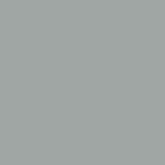 Grey Gloss Vinyl - (305mm x 5m)