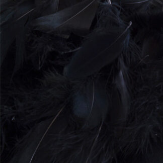 Black  No.20 Decorative Feathers - (50g) 3" - 5"
