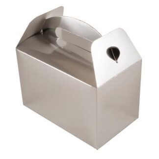 Party Box Metallic Silver - (6pk)