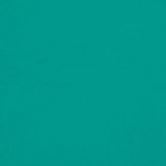 Aqua Green Sign Vinyl 4138 Matt - (5 x A4 Sheet)