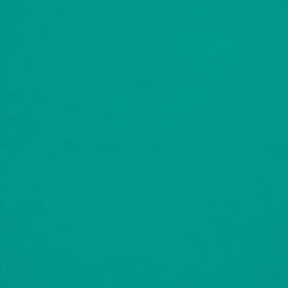 Aqua Green Sign Vinyl 4138 Matt - (5 x A4 Sheet)