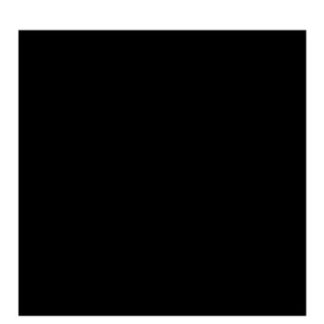 Black Gloss Vinyl - (305mm x 5m)