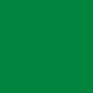 Bright Green Sign Vinyl 4045 gloss - 30 cm X 5M