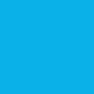 Light Blue 4031 Gloss - 30 cm X 5M
