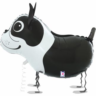Boston Terrier Balloon Friends -19"/48cm