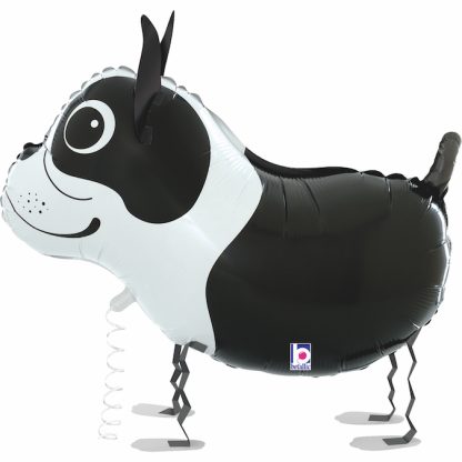 Boston Terrier Balloon Friends -19"/48cm