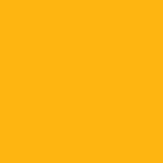 Dark Yellow Gloss Vinyl - (305mm x 5m)