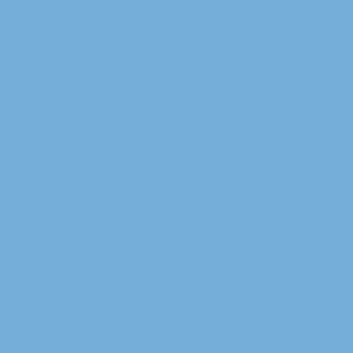 Light Blue Matt Vinyl - (305mm x 5m)