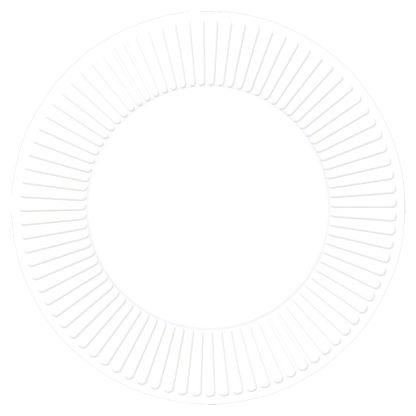 Coconut Paper Plates - 23cm (8ct)