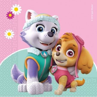 Paw Patrol Skye & Everest Napkin 2ply- (20ct)