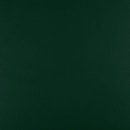 Forest Green Sign Vinyl 4042 gloss - 30 cm X 5M