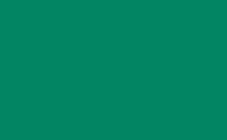 Green Matt Vinyl - (305mm x 5m)