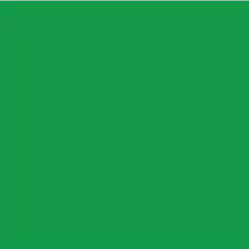 Grass Green Gloss Vinyl - (305mm x 5m)